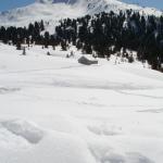 Lisa e Michele in Val di Fiemme